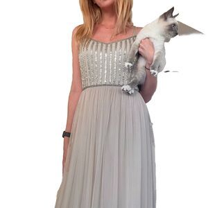 NWT Adrianna Papell Size 6 Long Beaded Chiffon Maxi Evening Formal Dress Beige